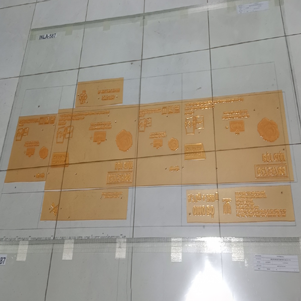 Bản in polymer